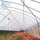 Single Span Clear Film Tunnel Top Vent Greenhouse Sri Lanka Prefabricated
