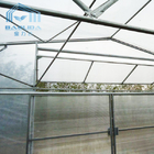 Aquaponics Growing System Greenhouse Steel Pipe Structure Hoop Tunnel Greenhouse