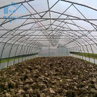 Agricultural Plastic Tunnel Greenhouse Hoop Greenhouse For Growing Vegetable