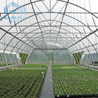 Galvanized Steel Agriculture Tunnel Plastic Greenhouse For Vegetable
