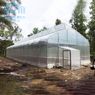 Hot Aluminum Zinc Plating Poly Tunnel Greenhouse For Agriculture
