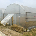Hydroponic Poly Film Multi Span Greenhouse