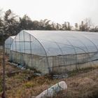 Tropical Single Span Plastic Shed Greenhouse Agriculture Tunnel Transparent