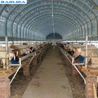 Hot-dip Galvanized Steel Poultry Film Tunnel Greenhouse Waterproof Sheep Greenhouse