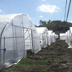 High Tunnel 150 Micron PE Film Single Span Greenhouse For Agricultural Project