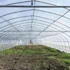 UV Resistance Hot Dipped Steel Frame Single Span 10m Tunnel Plastic Greenhouse