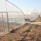 Agricultural Singlespan Tunnel Plastic Film Tropical Greenhouse