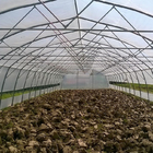 Sheet Covering Shed Agricultural Single Span Plastic Tunnel Greenhouse