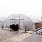 Side Ventilation Plastic Single Span Tunnel Polyethylene Film Greenhouse