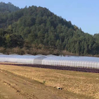 High Tunnel Gothic Plastic Film Covering Single Span Greenhouse For Plants Growing