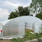 Strawberry Growing Side Ventilation Single Span Greenhouse For Agriculture