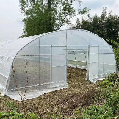 Quality  Strawberry Growing Side Ventilation Single Span Greenhouse For Agriculture factory