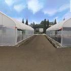 Outdoor Galvanized Steel Frame Greenhouse Plastic Sheet Film Tunnel Agricultural