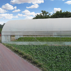 Outdoor Galvanized Steel Frame Greenhouse Plastic Sheet Film Tunnel Agricultural