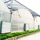 High Tech 200 Micron Greenhouse Automatic Plastic Film Multi Span Wind Resistant