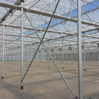 Strawberries Seedbed Nursery Multi Span Greenhouses with Inner Shading System