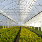 High Tunnel Gutters Air Circulation Multi Span Greenhouse for Flowers Growing