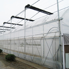 Sunlight High Double Arch Multi Span Greenhouse For Vegetables Planting