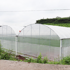 High Tunnel Multi Span Greenhouse Plastic PE Film For Strawberry