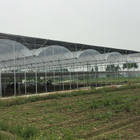 Multi Arch High Tunnel Greenhouse Hydroponics Temperature Control For Farming