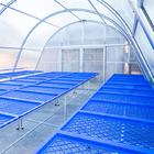 Poly Tunnel Single Span Polycarbonate Film Greenhouse Sun Solar Dryer For Rubber