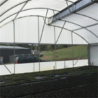 Tropical Ventilation System Sawtooth Single Span Greenhouse For Vegetables Growing