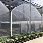 Large Size Multi Span Greenhouse / Commercial Pe Film Greenhouse Sheet Cover