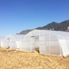 Strong Tunnel Plastic Film Greenhouse Polyethylene Covering With Irrigation System