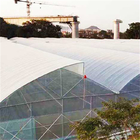 High Multi Span Strong Plastic Greenhouse Saw Tooth Roof Ventilation