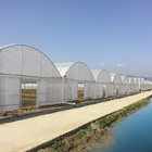 Plastic Film Vegetables Growing Agricultural 200 Micron PE Film Multispan Greenhouse