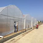 Plastic Film Vegetables Growing Agricultural 200 Micron PE Film Multispan Greenhouse