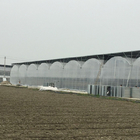 Large Size Plastic Film Greenhouse / Agriculture Greenhouse 20m - 100m Long