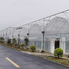 Large Steel Frame High Tunnel Double Film Double Arch 4.5m Multi Span Greenhouse