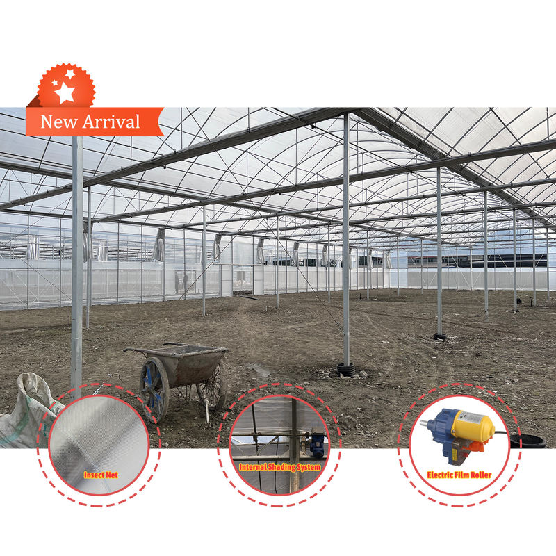 Vegetable Farming Solution 8-60m Customizable Size Agricultural Tunnel ...