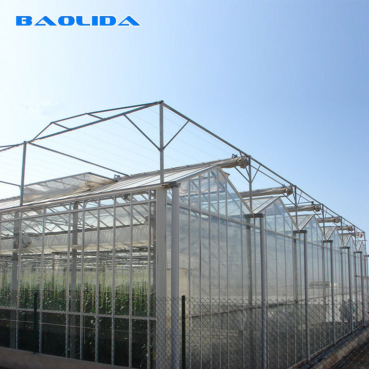 Multi Span PC Sheet Greenhouse Polycarbonate Covering Plant Growth Support
