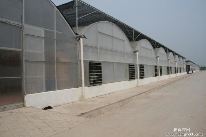 Reinforced Steel Pipe Multi Span Greenhouse For Agricultural Crops Growth