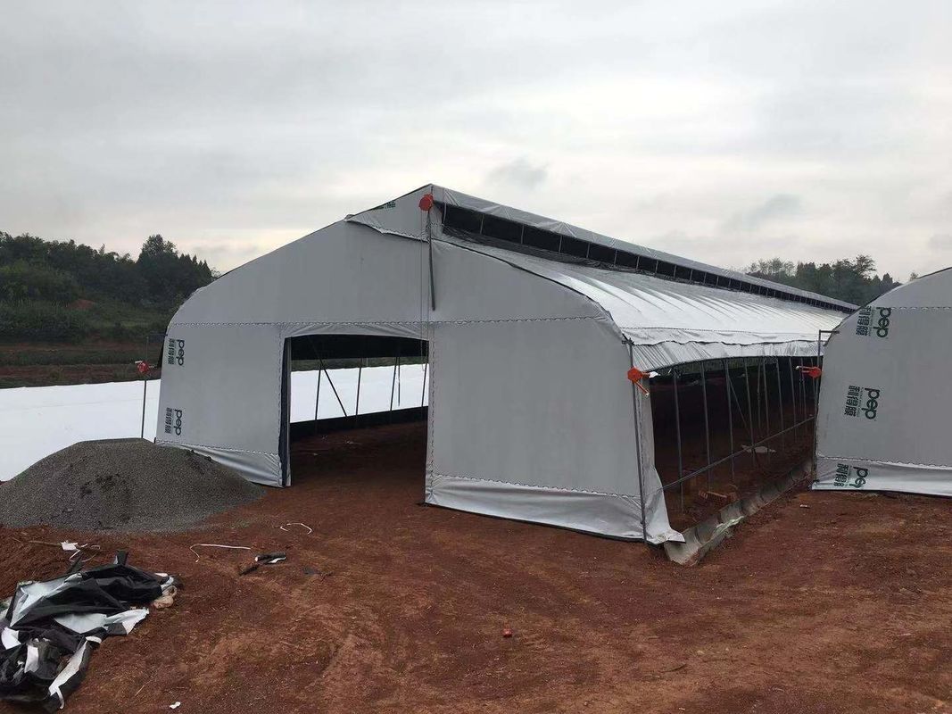 Agricultural Breeding Tunnel Plastic Greenhouse For Commercial Sale