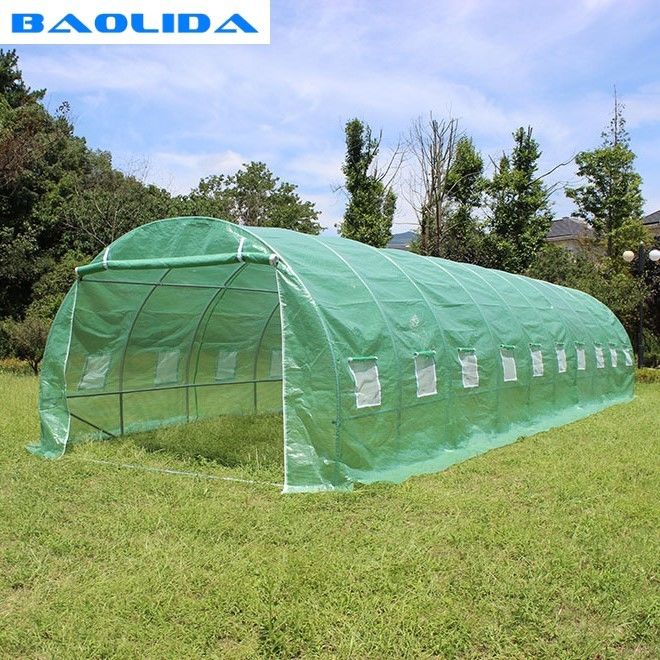 Quick Install Film Greenhouse Tent Anti Insect Small Size Transparent