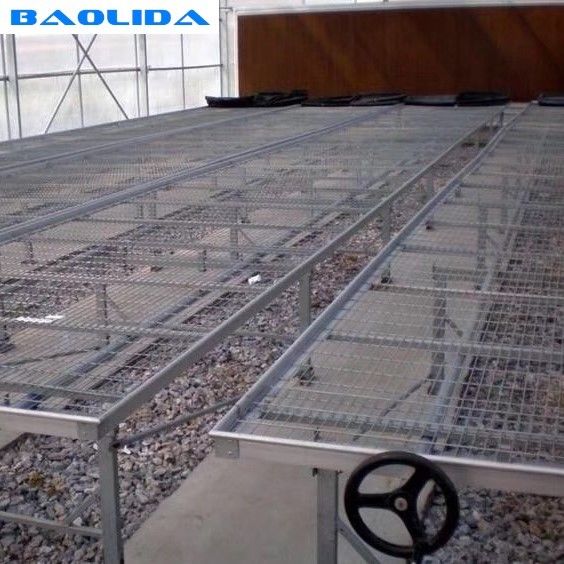 Seedbed Ebb And Flow Rolling Benches Farming Agricultural Equipment Support