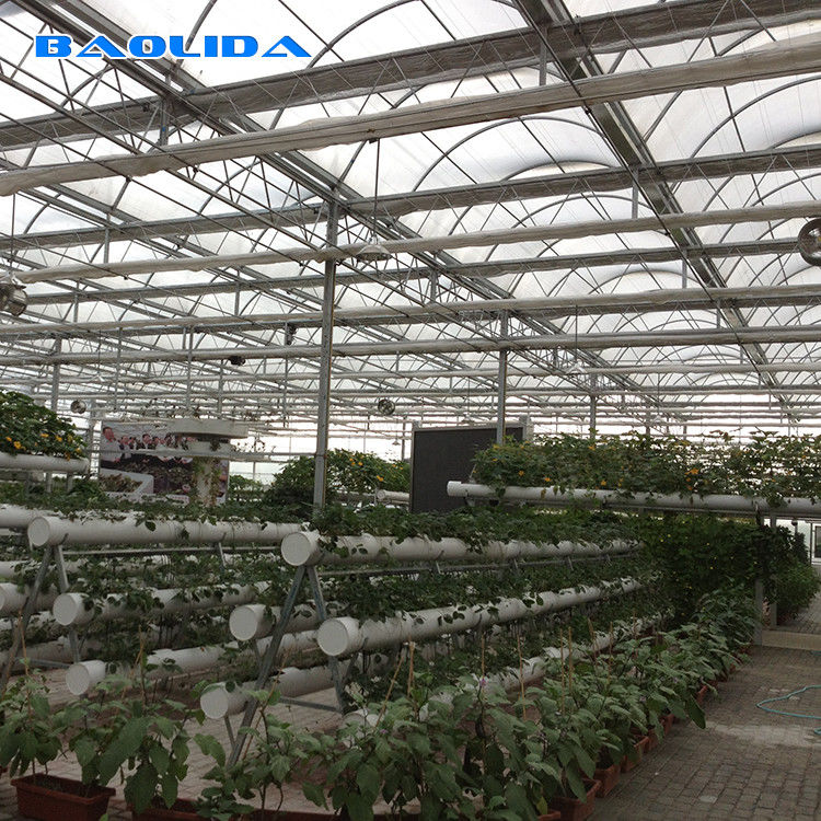 Hot Galvanized Structure Agriculture Polytunnel Greenhouse Wind Resistant Multi-Span Greenhouse