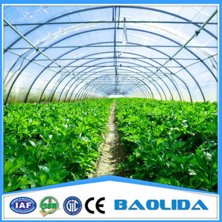 Plastic Sheeting Tunnel Greenhouse UV Resistance Agricultural Greenhouse