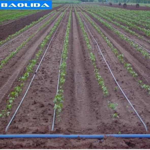 Agriculture Trigger Drip Irrigation Parts For Greenhouse
