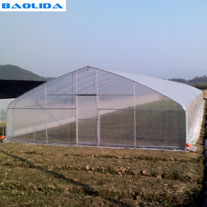 Arch Spacing 1.33m Polyethylene Film Greenhouse For Vegetable Cultivation