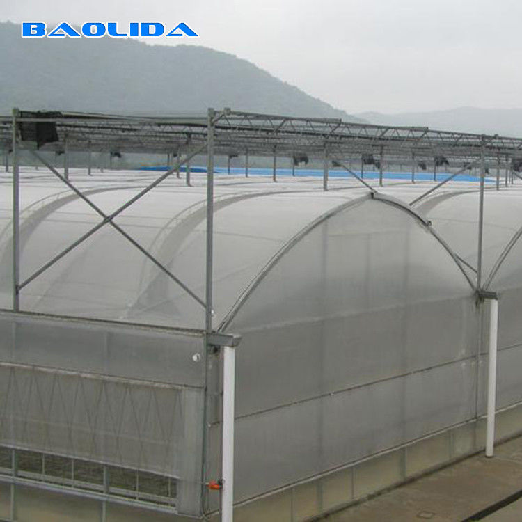 Turnkey Installed Commercial Hydroponic Plastic Film Greenhouses Multi Span