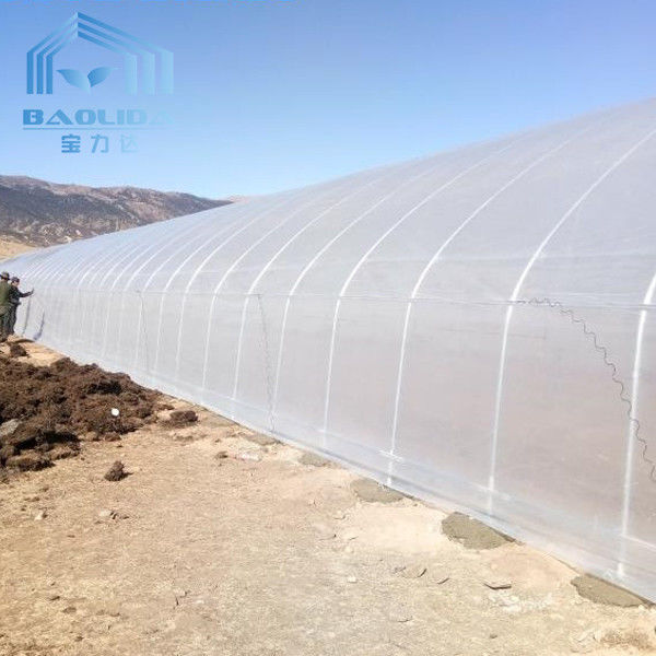 Two Side Net Tunnel Plastic Greenhouse Insect Proof With Air Conditioner