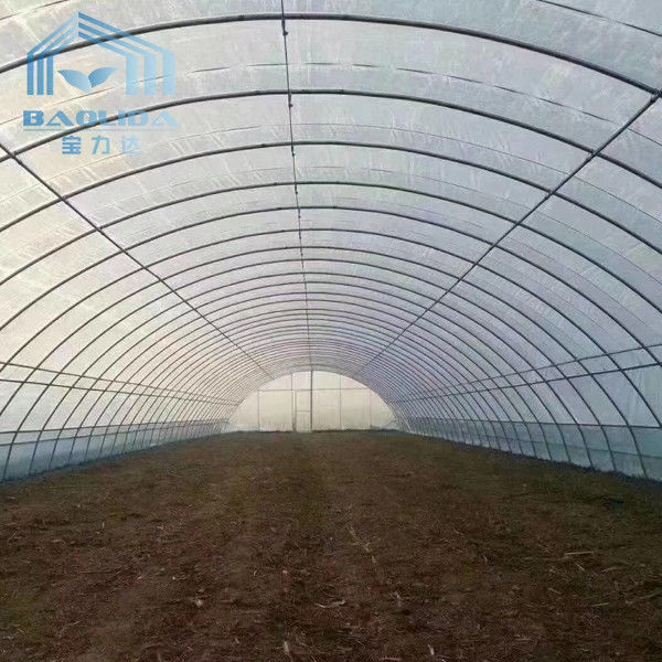 Double Arches Polyethylene Foil Greenhouse Strong Structure for Cold Area