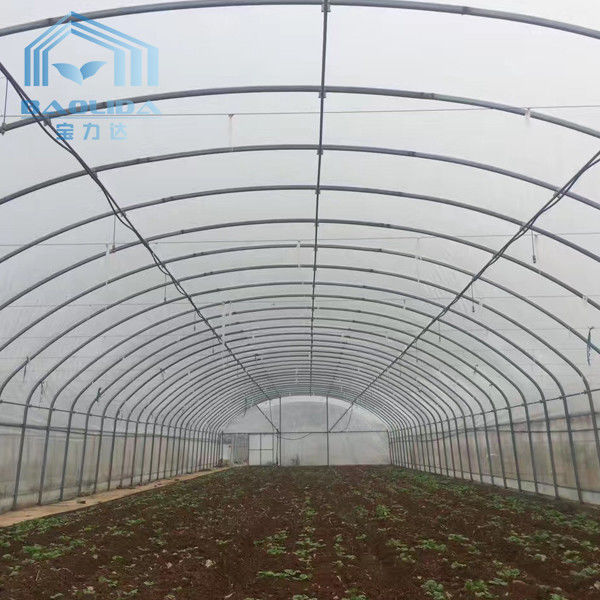 Farming Singlespan Tunnel Greenhouse With Irrigation And Hydroponic Growing System