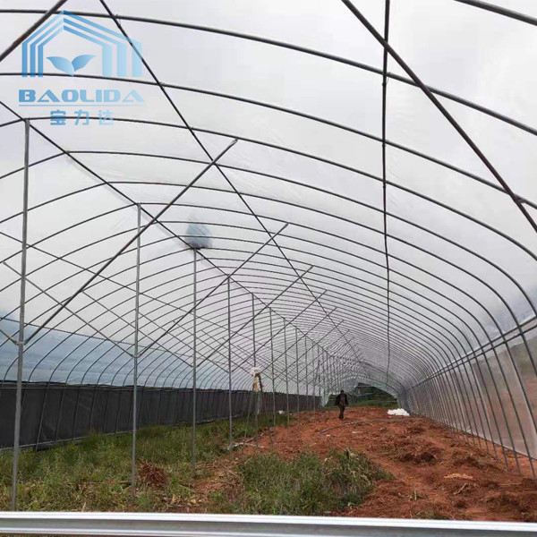 Commercial Tunnel Plastic Greenhouse With 5Cm Thermal Insulation Panel
