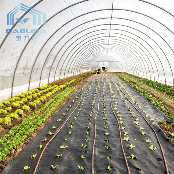 Single Span Pe Film Tunnel Plastic Greenhouse Commercial Hydroponic Agriculture