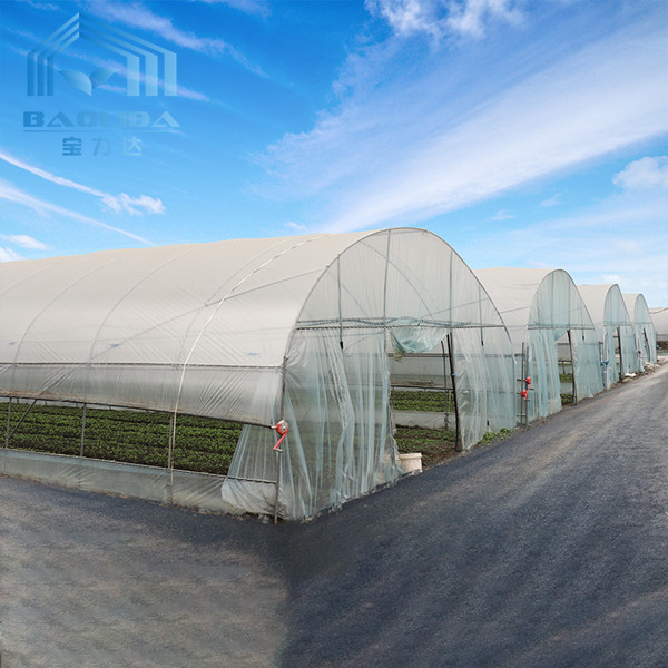 Steel Pipe Dome Metal Hoop Greenhouse Galvanized Prefabricated Single Tunnel